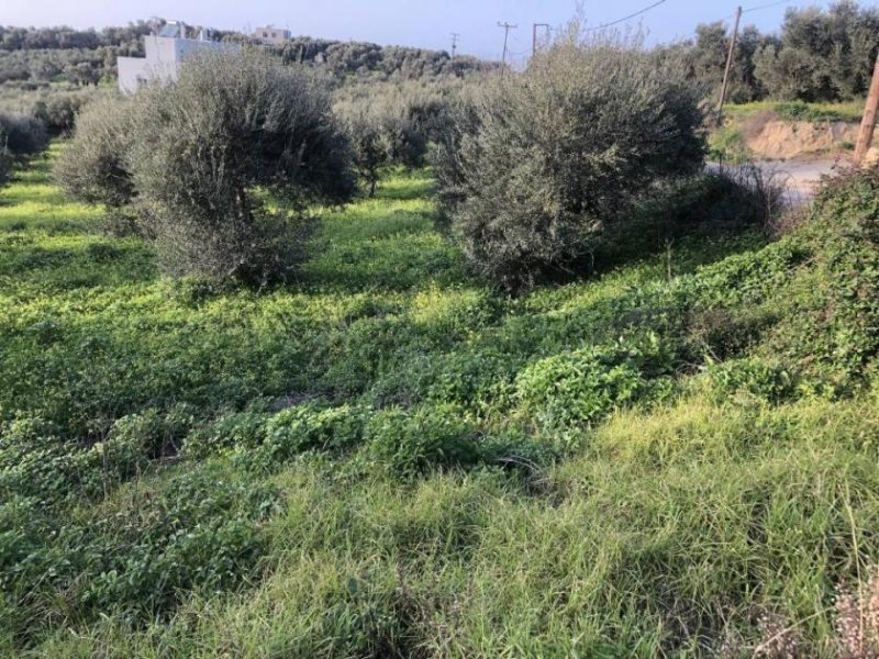 Adelebsen Zum Verkauf auf Kreta: Grundstück mit fantastischer Aussicht in der Nähe von Adele Grundstück kaufen